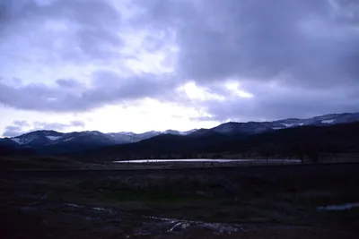 DSC_0995 (Large).JPG